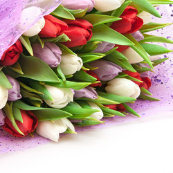 Similar image 795007