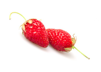 Similar image 795017