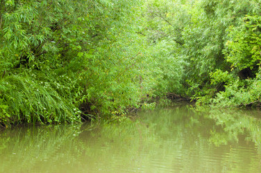 Similar image 795027