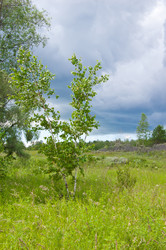 Similar image 795037