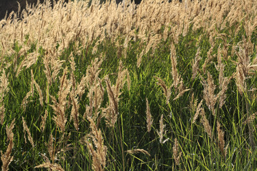 Similar image 795047