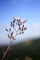 Similar image 795048