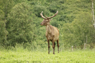 Similar image 795061