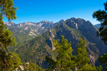 Similar image 795066