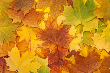 Similar image 795073