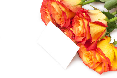 Similar image 795078