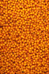 Similar image 795079