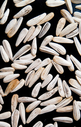 Similar image 795089