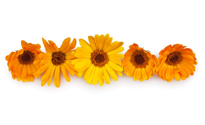 Similar image 795090