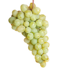 Similar image 795100