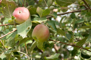 Similar image 795110