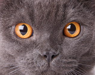 Similar image 795195