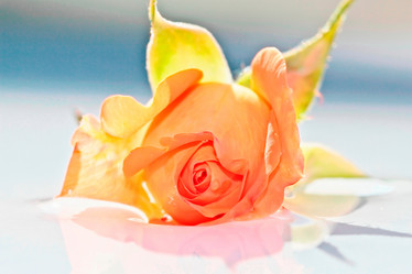 Similar image 795232