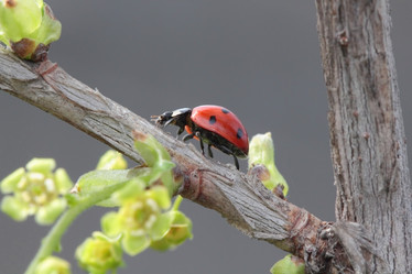 Similar image 795233