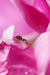 Similar image 795239