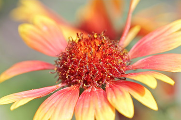 Similar image 795242