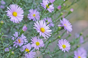 Similar image 795243