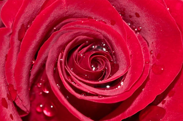 Similar image 795249