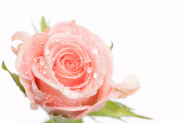 Similar image 795252