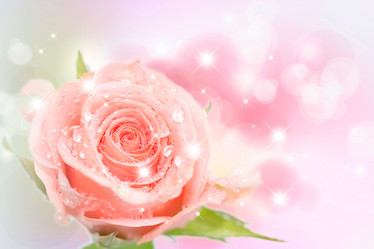 Similar image 795253