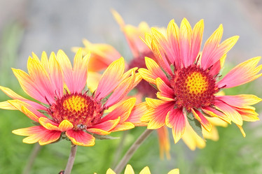 Similar image 795257