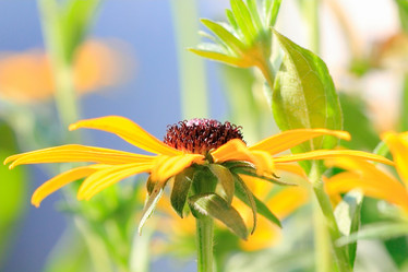 Similar image 795260