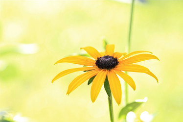 Similar image 795262