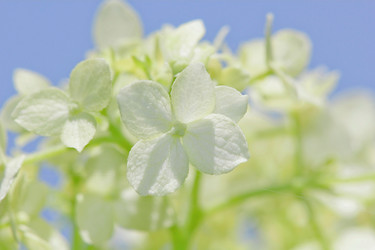 Similar image 795268