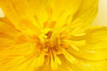 Similar image 795273