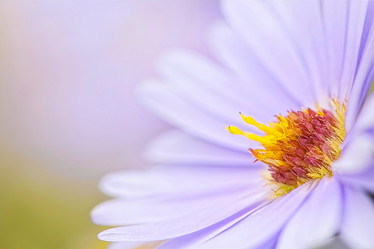 Similar image 795275