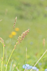 Similar image 795276