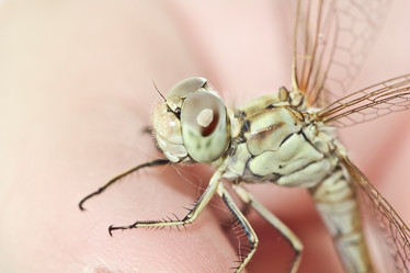 Similar image 795282