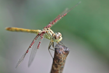 Similar image 795283