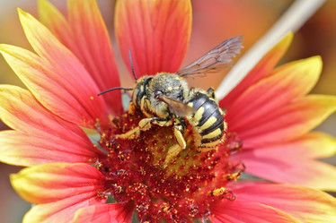 Similar image 795291