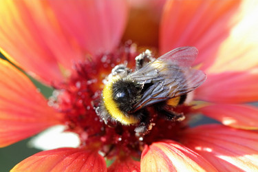 Similar image 795294