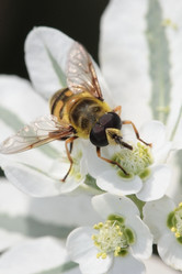 Similar image 795295