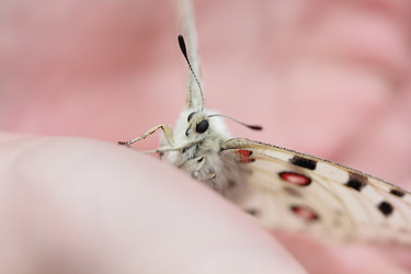 Similar image 795301