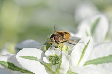 Similar image 795302