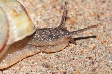 Similar image 795309