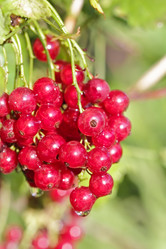 Similar image 795313