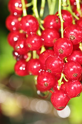 Similar image 795314