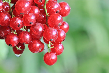 Similar image 795315