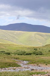 Similar image 795320