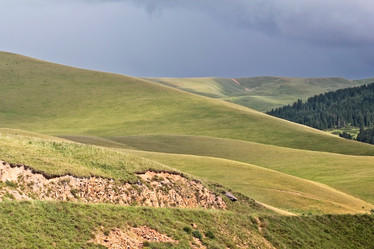 Similar image 795321