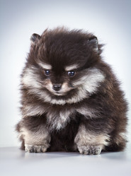 Similar image 795324