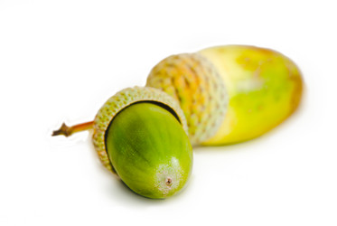 Similar image 795367