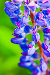 Similar image 795368