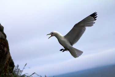 Similar image 795371