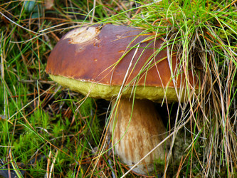 Similar image 795372