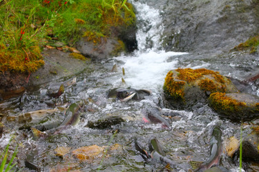 Similar image 795374